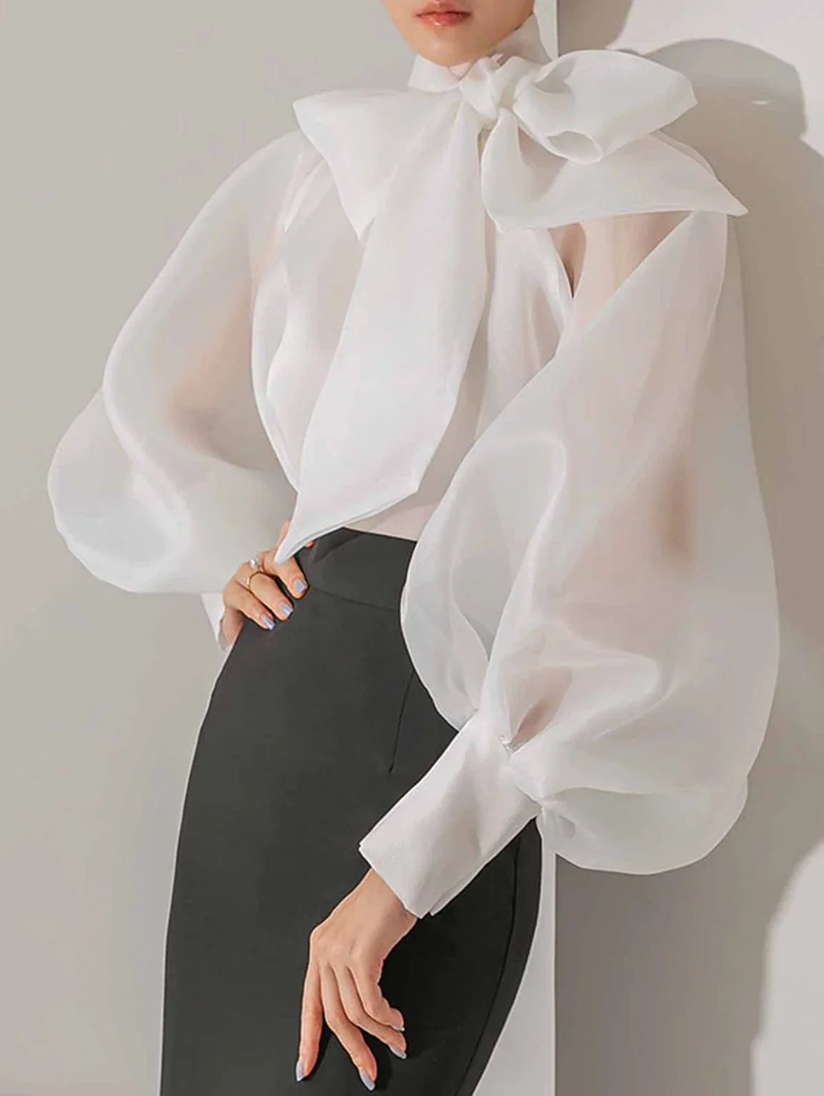 Women's Elegant Lantern Sleeve - Street Fashion Necklace review and price